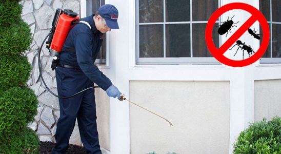 Canik Akrep İlaçlama böcek ilaçlama ve haşere kontrolü — ilaclama-tr.com